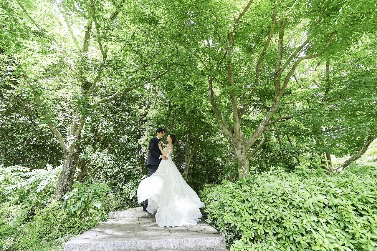 緑に祝福される、奇跡の瞬間