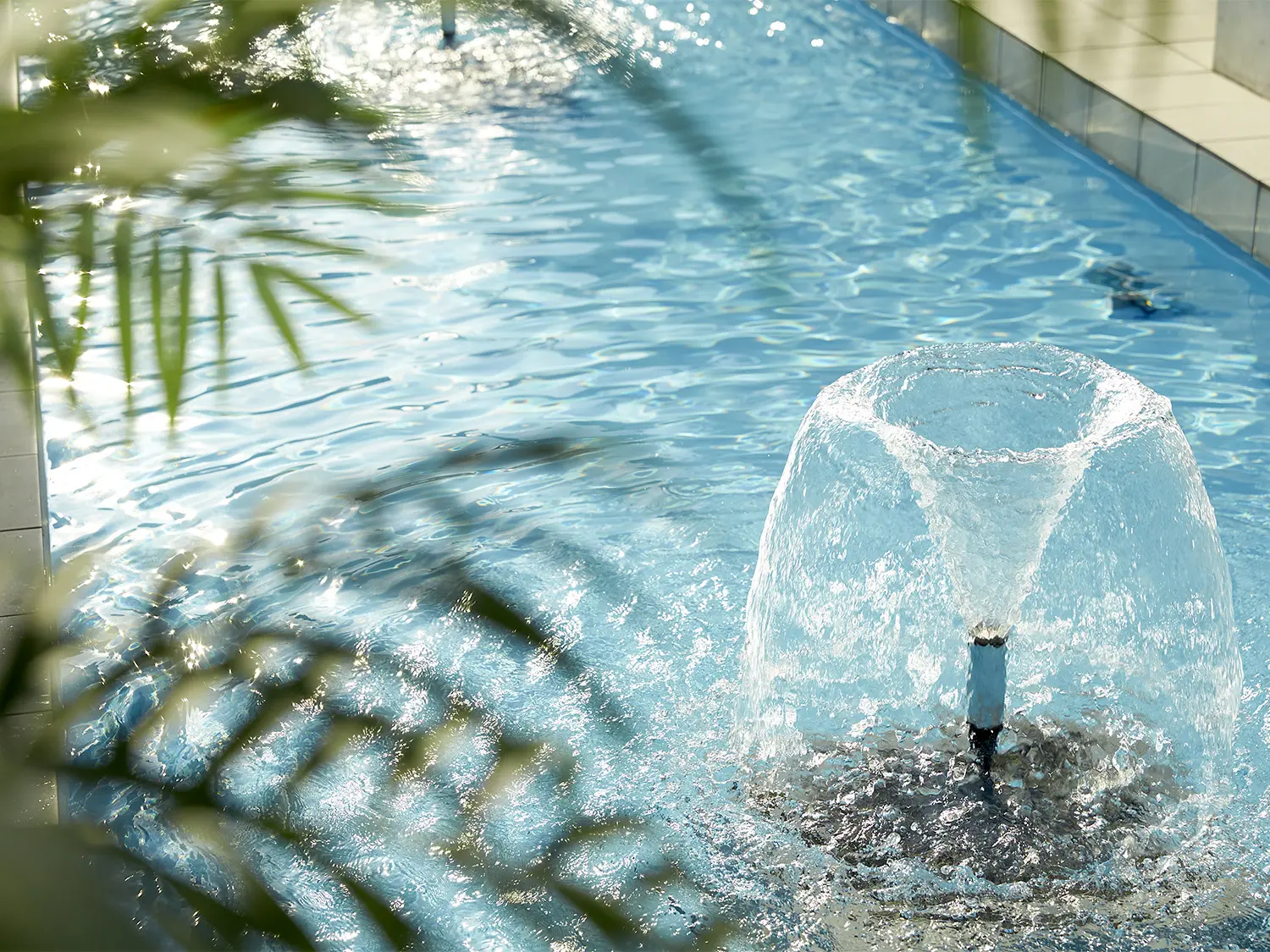 ザ・パームガーデン