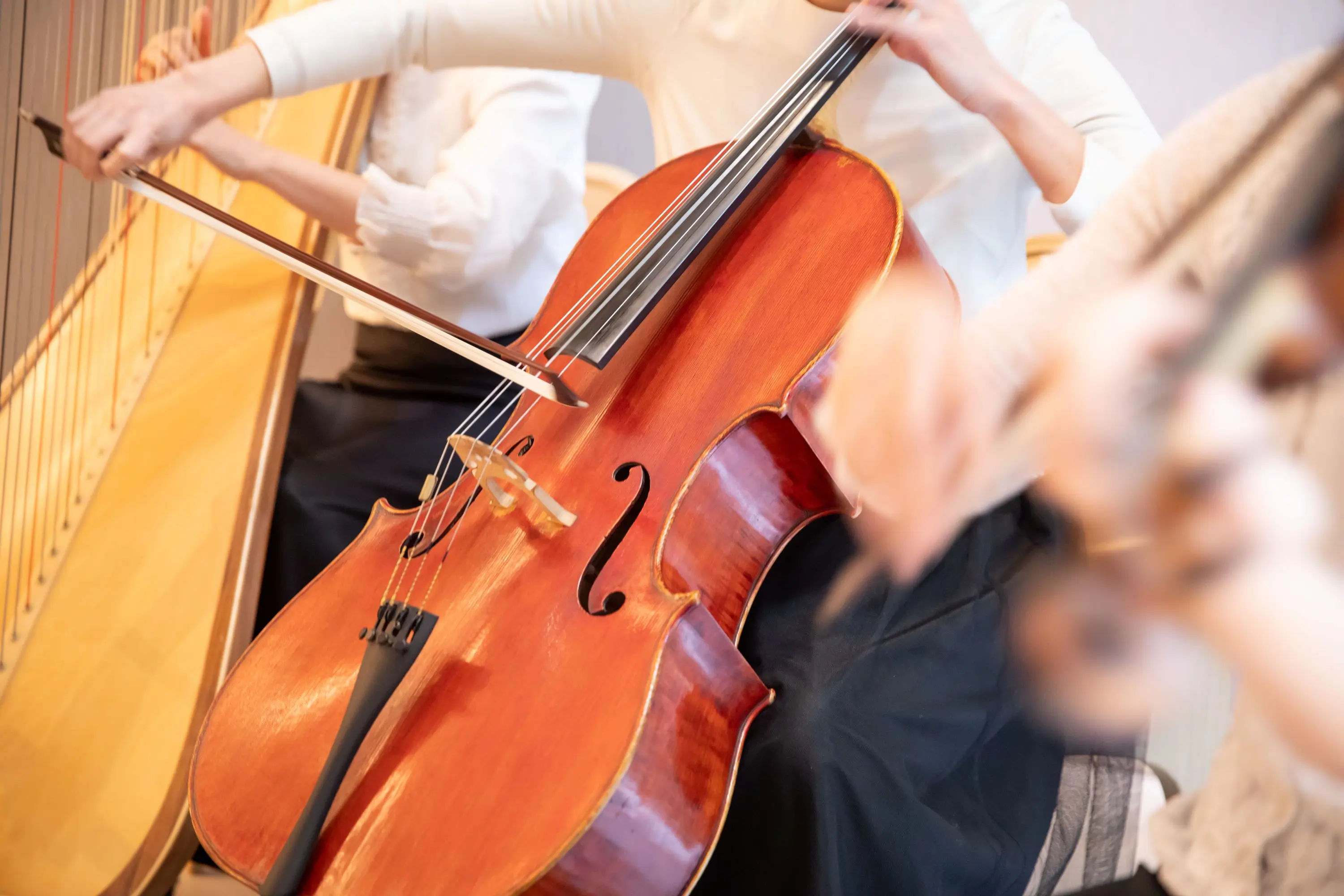 生演奏で幻想的な空間に